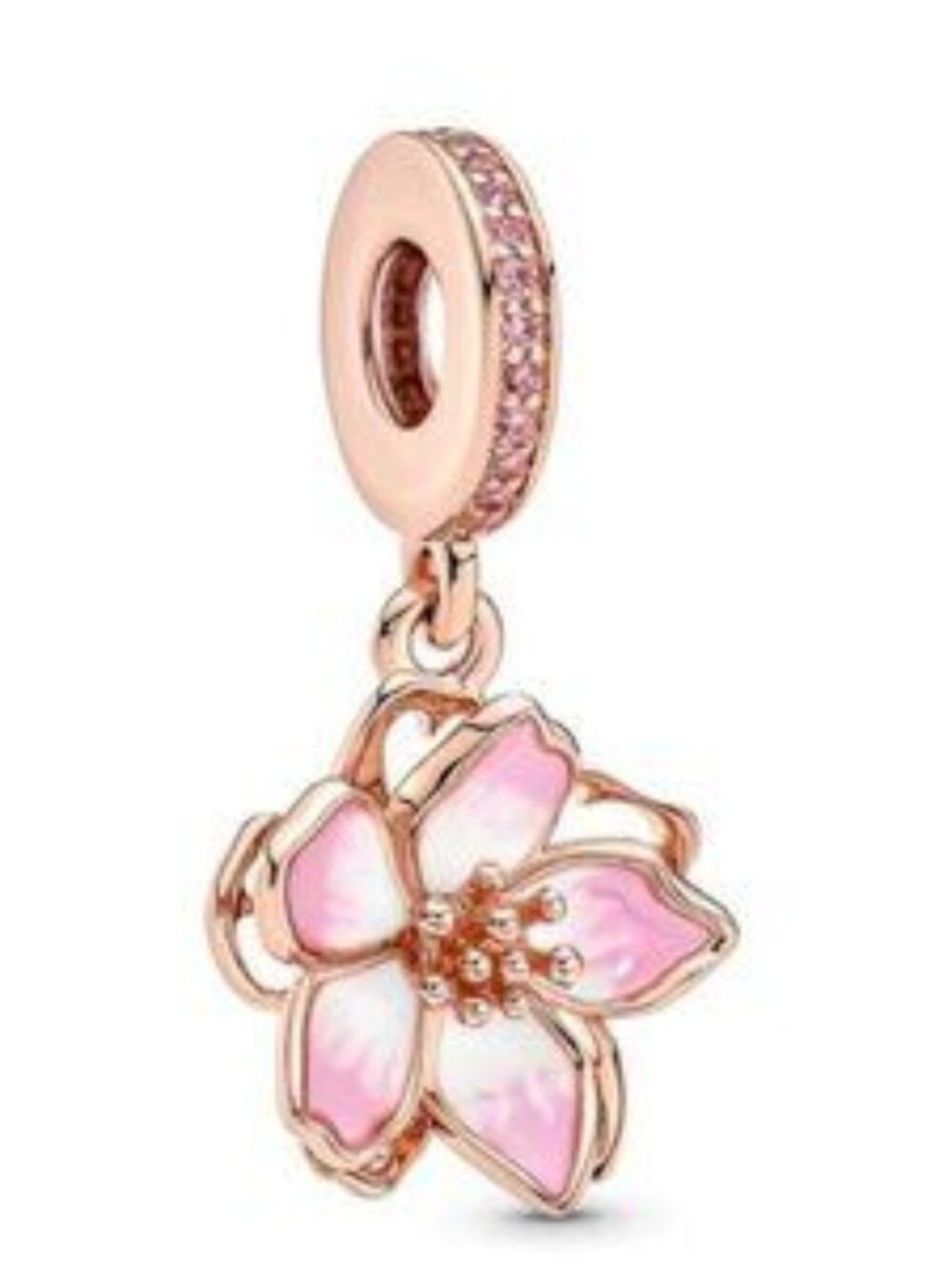 Pandora Charms